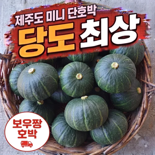 "다담팜" 제주 보우짱  미니 밤호박 가정용 혼합과