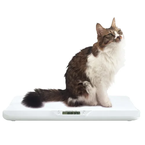 중소형 반려동물 또는 30kg 미만 우편에 적합한 새로운 모델 고정밀 다기능 반려동물 저울 66(LB) 반려동물 저울 개 저울 고양이 저울1, 1개, 하얀색, BS02