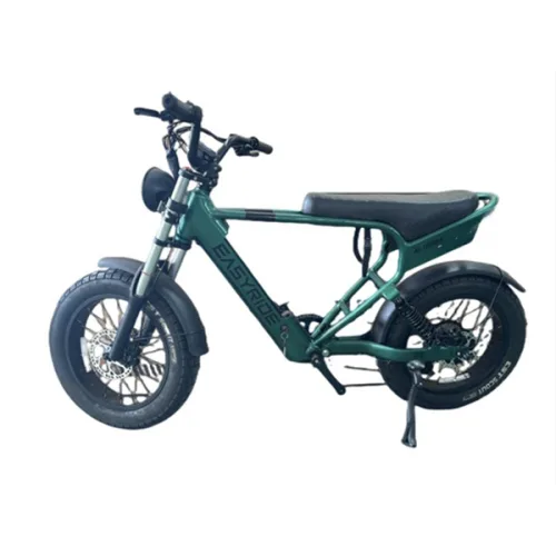 이지라이드 올터레인 ALLTERRAIN 전동자전거 48V 500W 15Ah, 올터레인 펄그린 조립+헬멧, 알루미늄