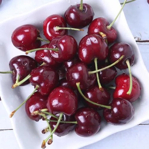 프리미엄 체리 항공직송 9.5~10R 특품 생 체리 1kg, 2kg, 1개, 2kg