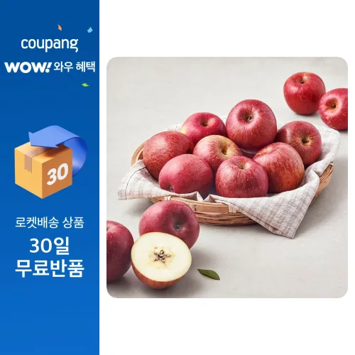 영주마실 못난이 사과 소과 23~30개입, 4.5kg, 1박스
