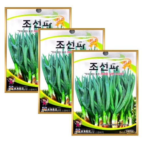조선파씨앗 조선파종자 구조파씨앗 토종파씨앗 3봉 총3천립 세트 삼대씨앗 기획, 3개