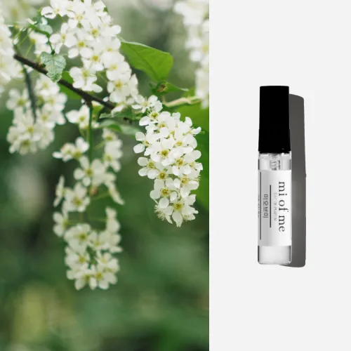 미오브미 아카시아 니치 향수 오드퍼퓸, 1개, 5ml