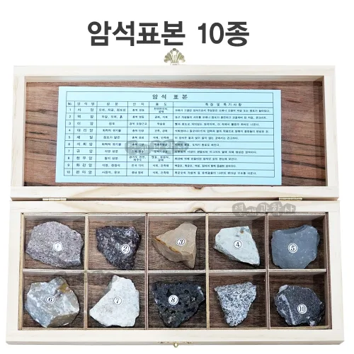 영재과학 암석표본 10종 변성암 퇴적암 화성암 교과서 암석 표본