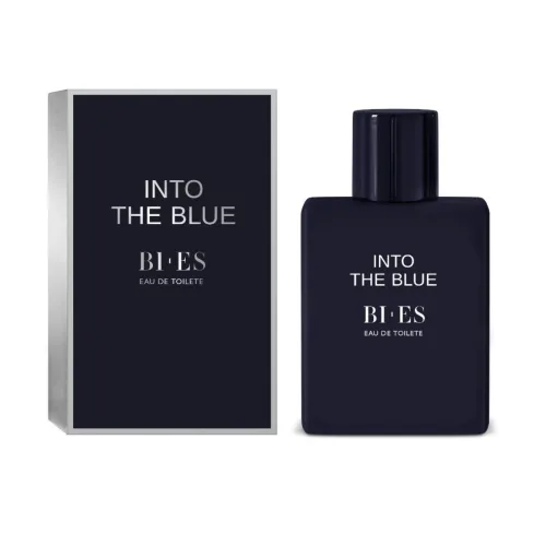 비에스 유럽향수 인투더블루100ml, 100ml, 1개