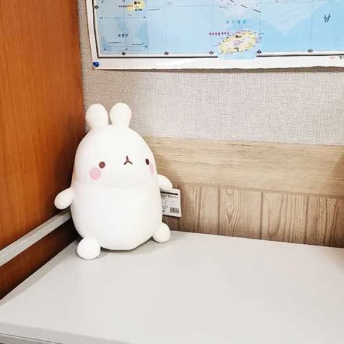 몰랑이(소) 봉제인형, 1개