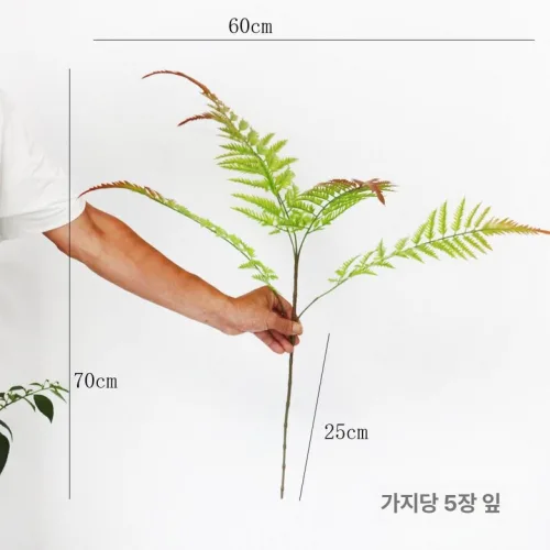 대형 인조 코코넛 undefined