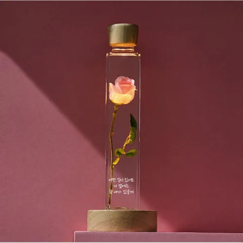 리비트 장미롱 꽃 무드등 기념일선물 수면등 여자친구 선물 100일 이벤트, 핑크(예쁜것만 보고 / 벅찰만큼 사랑받길)
