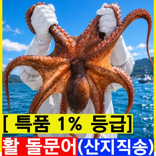 [초특가상위1%] 국산 문어 생물 돌문어 활문어, 1박스, 2kg (특품)
