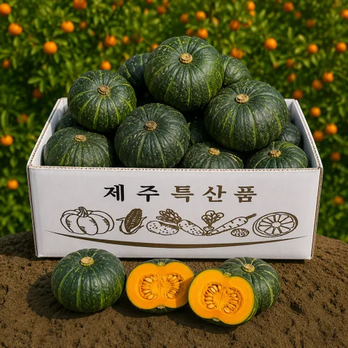 [폭탄세일] 고당도 정품 제주 밤호박 보우짱, 1박스, 3kg(로얄과)