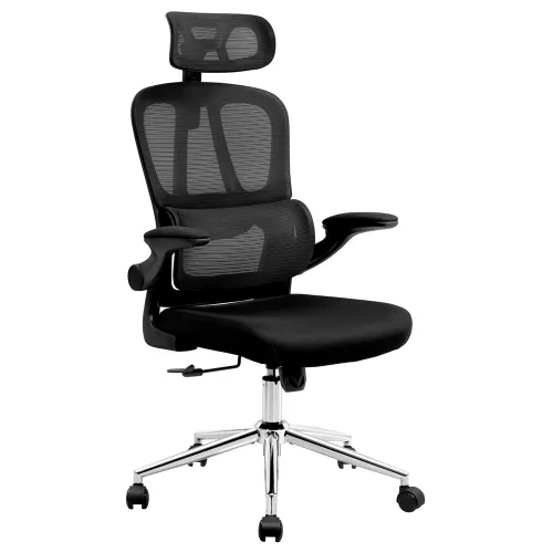 FlexiSpot 사무용의자 OC6 요추보호 컴퓨터의자 높이조절 학생 재택근무 최저높이 40.5cm 최대하중122KG 금속프레임, 블랙