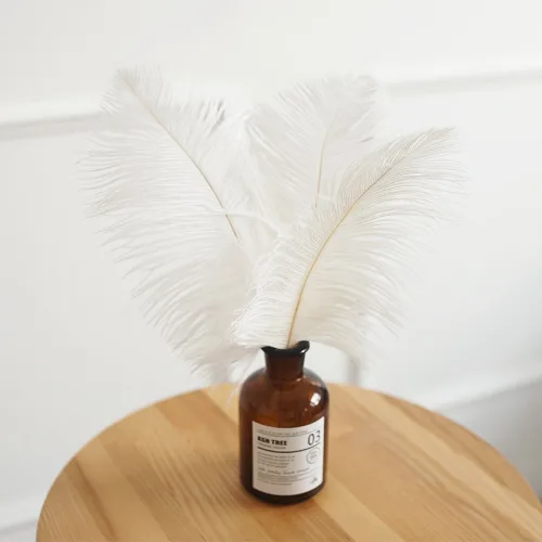 케이트가든 화이트 타조 깃털 장식 소품 25cm, 단일색상