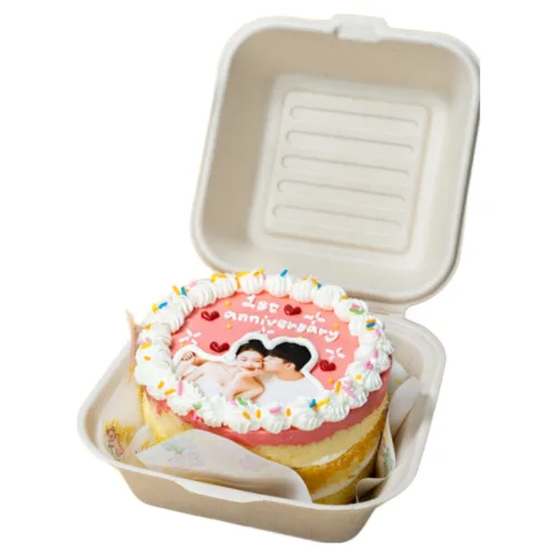 (평일 낮 12시전 주문 오늘출발) 케익팩토리 미니 핑크스냅포토, 1개, 240g
