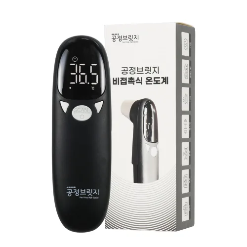 공정브릿지 비접촉식 적외선 온도계 FNT010, 단일 색상, 1개