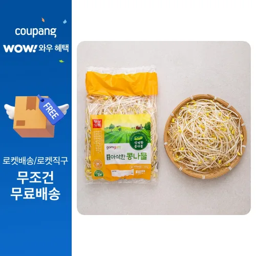 곰곰 아삭한 콩나물