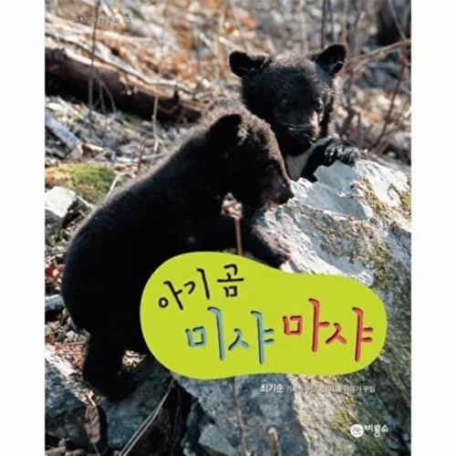 비룡소 아기 곰 미샤 마샤
