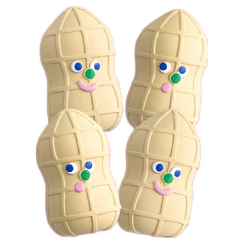 바잇미 반려동물 알콩땅콩 라텍스 장난감