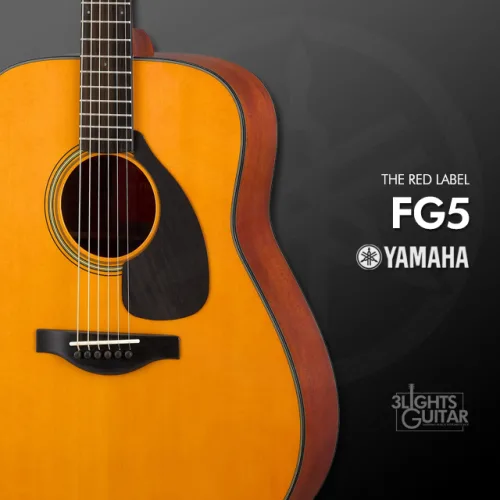 야마하 레드라벨 FG5 / 일본생산, 내추럴, 1개, FG5