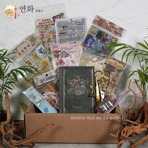 연화만물상 빈티지 다이어리 패키지 다꾸 스티커 감성 배경지 모음 세트, 1박스, B패키지