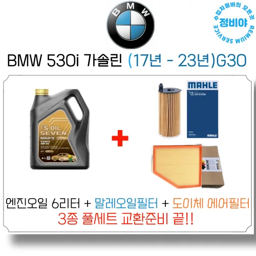 BMW 530i 가솔린 엔진오일 세트 (17년 - 23년) G30 럭셔리/M스포츠/xDrive, 1개, BMW 530i 가솔린 (17년 - 23년)G30