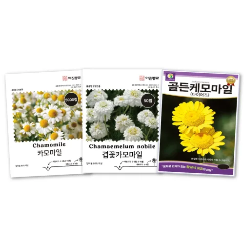 [주주씨앗] 카모마일 허브씨앗 3종세트 캐모마일 겹꽃카모마일 다이어스 골든 캐모마일 종자 씨 허브씨, 1개
