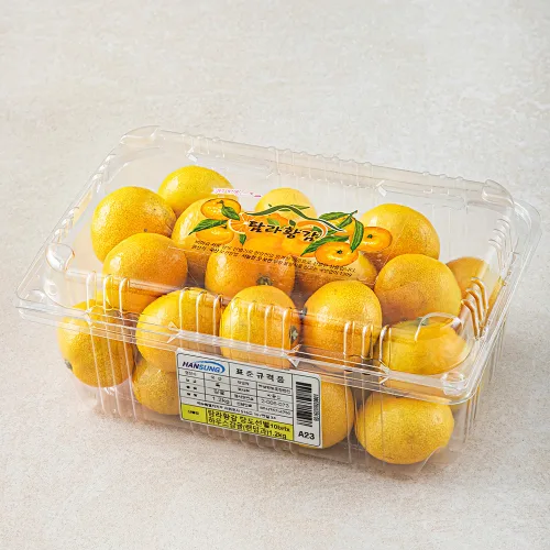 탐라황감 당도선별 10brix 하우스감귤, 1.2kg(랜덤과), 1개