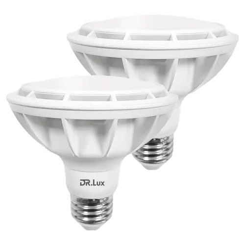 닥터룩스 LED 확산형 전구 15W PAR30, 2개, 주광색