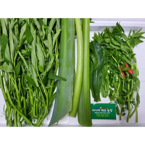 Canh chua 500g 세트/아시아 농장 송소희, 500g, 1개