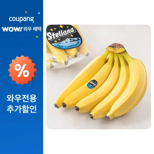 [로켓프레시] 스텔라나 베트남산 고산지 바나나