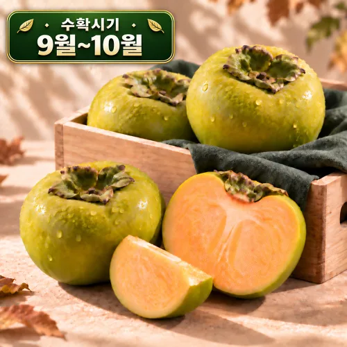 [9월~10월 수확시기] 아삭달달 가을제철 태추단감