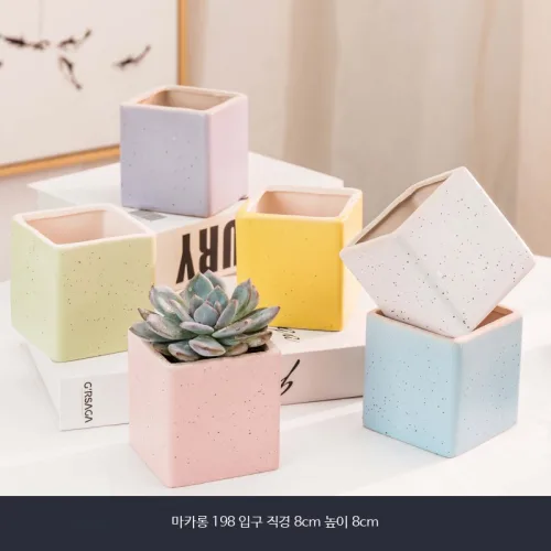고급 세라믹 미니 다육이 화분 홈카페 가드닝 세트 인테리어용 가정용 캠핑용 차량용 내구성 실용 경량