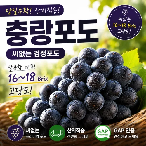 충랑포도 씨없는포도 검정포도 고당도 포도 산지직송 GAP인증 제철포도, 1박스, 1.5kg 보통(4-5수)