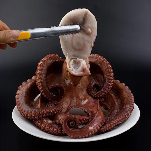 당일조업 생물 통영 돌문어 국내산 자숙 산지직송, 1개, 자숙 돌문어 4kg (kg당 1-3미)