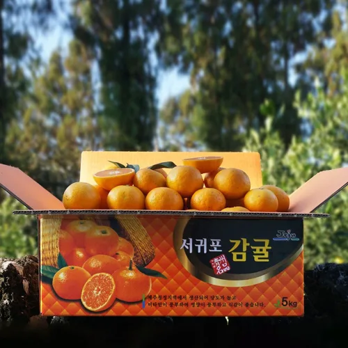 귤담원 제주 제철 감귤, 01.감귤 3kg 꼬마, 1박스