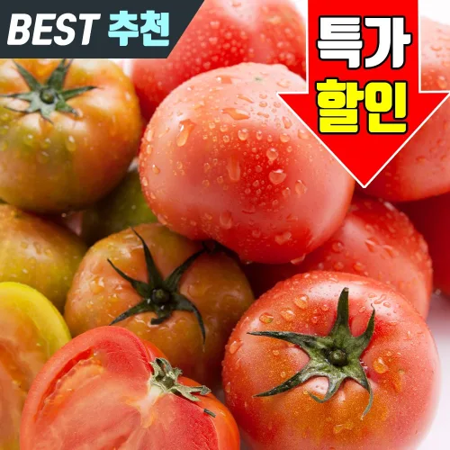 고당도 과즙많은 완숙 찰토마토