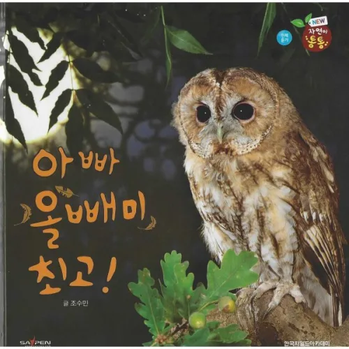 아빠 올빼미 최고!