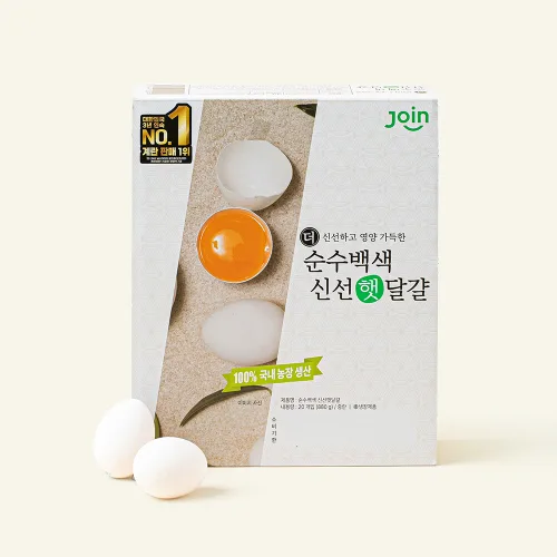 조인 백색 중란