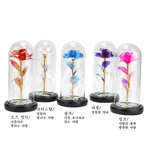 시들지않는 꽃 오색장미 LED무드등 led 유리돔  홀로그램 장미무드등 어버이날 로즈데이 100일 여자친구 선물