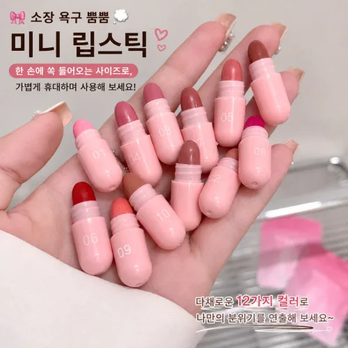 12색 캡슐 립스틱 세트 미니 립스틱 멀티 컬러 립메이크업 키트