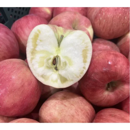 [무료배송] 산지직송 프리미엄 고당도 꿀 감홍사과 (1kg 2kg 3kg 5kg)