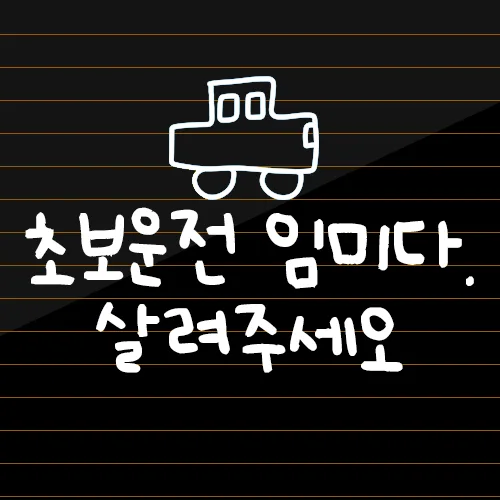 초보운전 스티커 귀여운 차량용 왕초보운전 차량 초보, 화이트, 1개