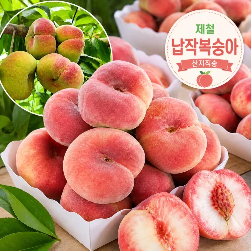 모양부터 특별한 납작복숭아, 1개, 500 g