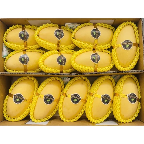 Thomy 베트남 노란 께오 keo 골드망고, 1개, 5KG(12~16과)