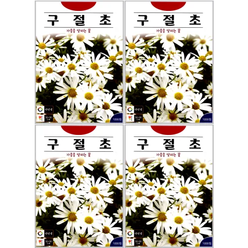 구절초 씨앗 1000립 다년생 흰꽃 가을꽃 야생화 화단 정원용 꽃씨 ks, 4개